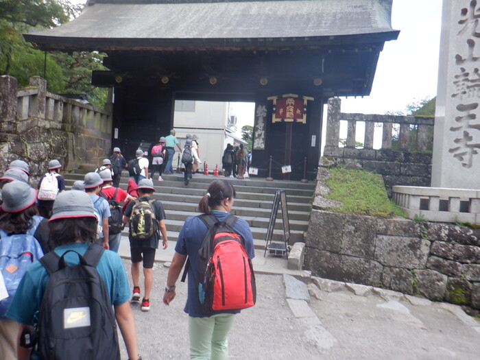 nikko0101