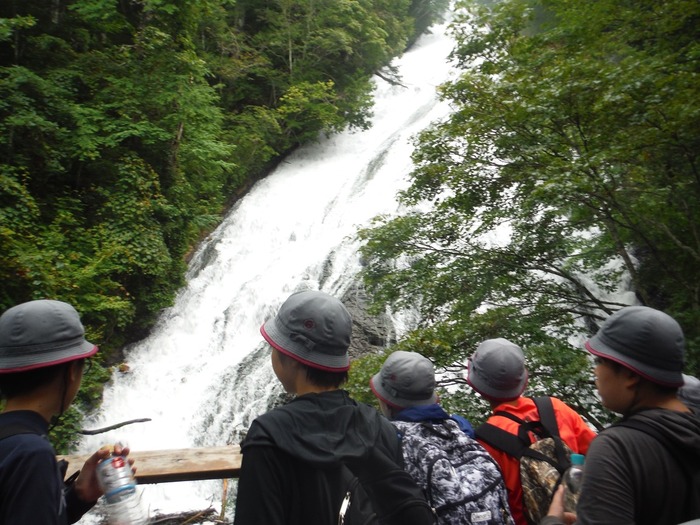 nikko0203