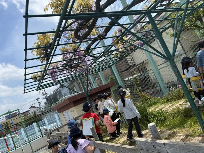 春探し3