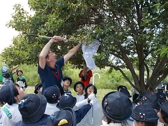 荒川フィールド学習2