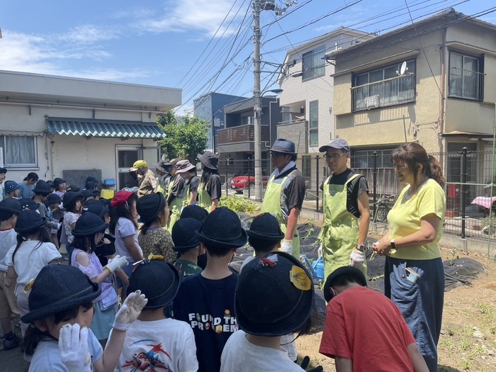 サツマイモ苗植え1