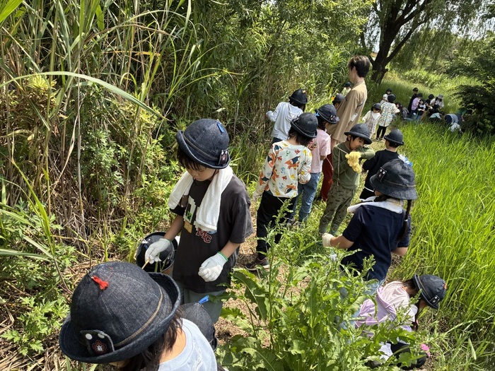 1・2年 荒川フィールド学習2